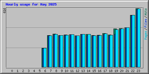 Hourly usage for May 2025