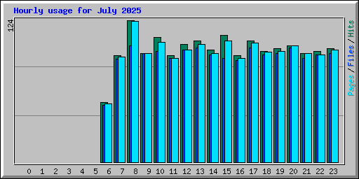 Hourly usage for July 2025