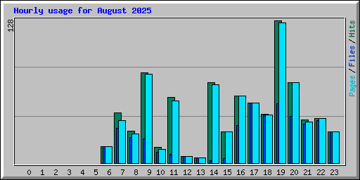 Hourly usage for August 2025