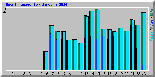 Hourly usage for January 2026